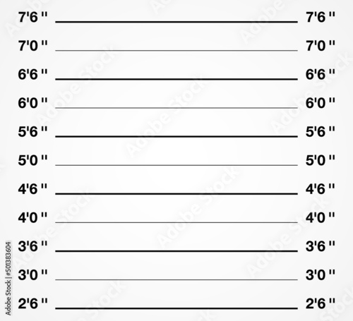 Criminal photo shooting background. Mugshot height measurement vector illustration.