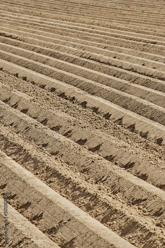 Ploughed field in Geilenkirchen, Germany - Farm scenery photo