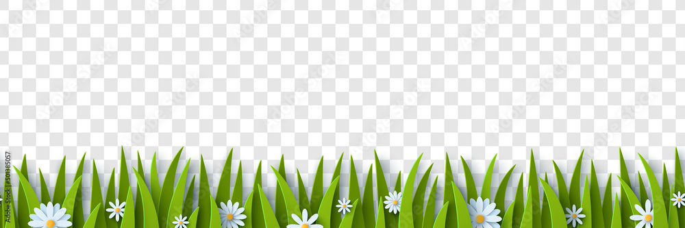 Grass and chamomile paper cut border isolated on transparent background. Vector Illustration. Seamless spring or summer green pattern. Happy Easter Frame with white daisy - obrazy, fototapety, plakaty 