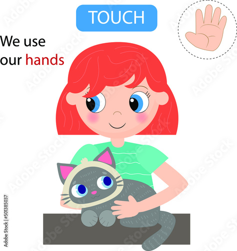 Cute girl touching a cat. Funny montessori game for kids. Learning five senses. Vector illustration.