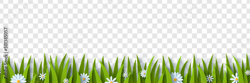 Foto Grass and chamomile paper cut border isolated on transparent background