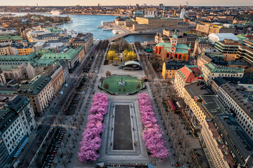Keuken achterwand Stockholm Stockholm in voorjaarslicht uniek uitzicht  © Alexander