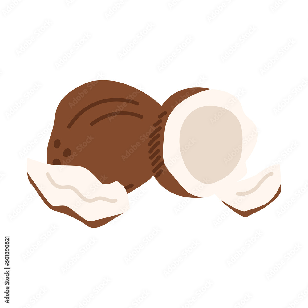 Sliced coconuts. Vector illustration on isolated background. Sliced coconuts. Vector illustration on isolated background.