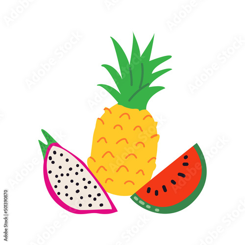 Vector illustration with exotic tropical fruits. Pineapple. watermelon and dragon fruit on isolated background. 