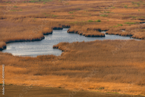 Narrow river surrounded by dry grass in Dobruja, Romania photo