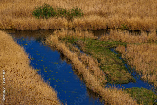 Narrow river surrounded by dry grass in Dobruja, Romania photo