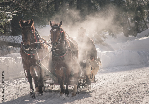 horses in winter, sanie ciągnięte przez pare koni.