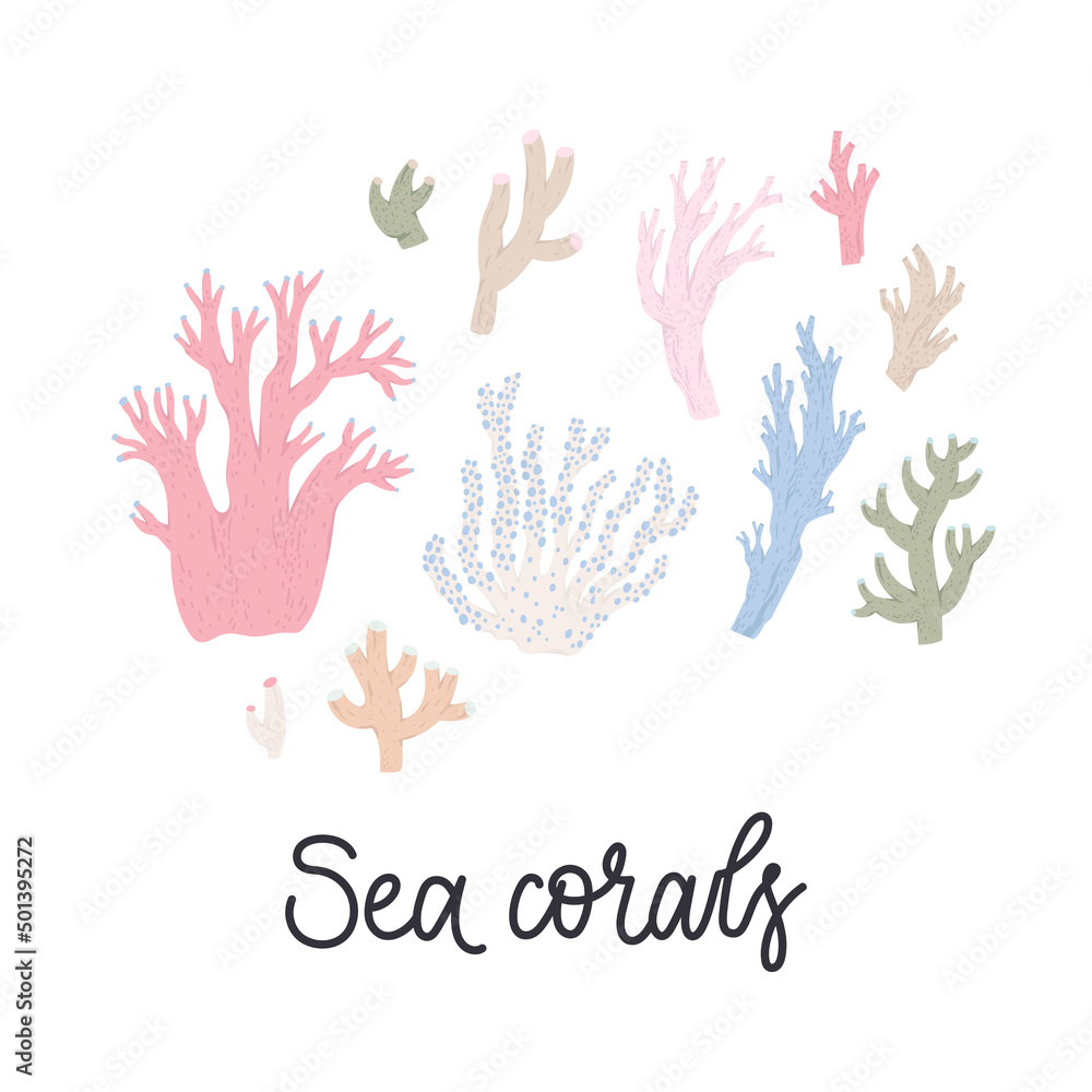 Fototapeta premium Corals - collection of pastel flat illustrations. Vector drawings isolated on background.