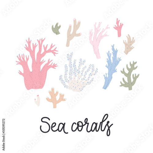 Corals - collection of pastel flat illustrations. Vector drawings isolated on background.