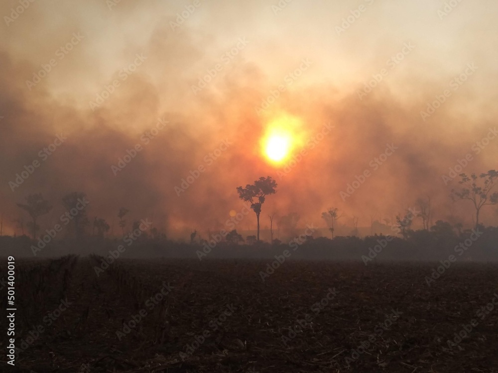 Fototapeta premium sunrise in the field