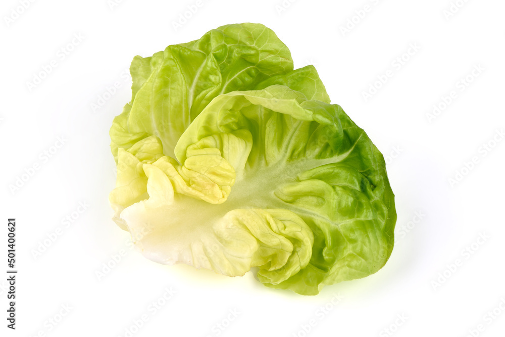 Fresh butter lettuce, isolated on white background.