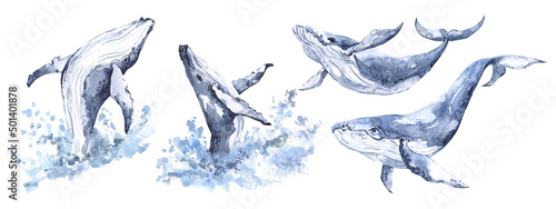 A set of watercolor whales, hand-drawn inhabitants of the ocean. Watercolor sea animals, water splashes, watercolor background. For invitation, greeting cards, posters, scrapbooking, sticker packs, photo