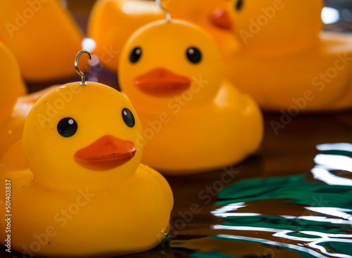 Ducks for a children's 'Hook-a-duck' game at Kirtlington Feast funfair, England, the UK photo