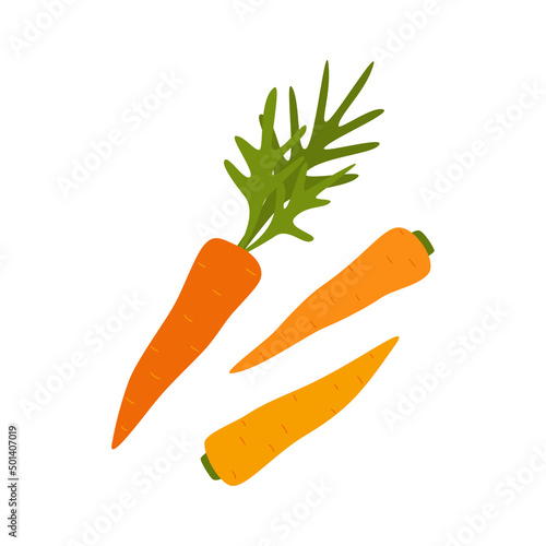 Vector illustration of carrots isolated on white background. Vegetables for healthy lifestyle. Fresh and healthy food. Vegetarian nutrition.