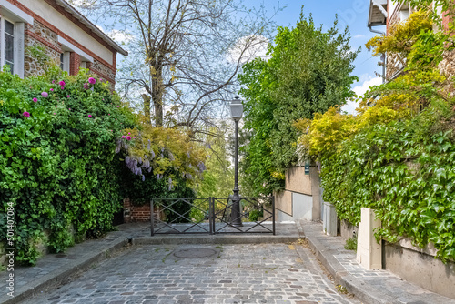 Paris, picturesque neighborhood of the Campagne à Paris, in the 20e arrondissement, wisteria in spring 