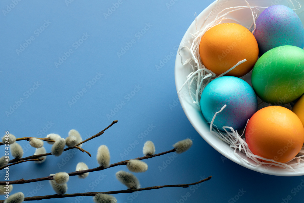 Painted multi-colored chicken eggs in a white plate and willow on a blue background. Easter holiday