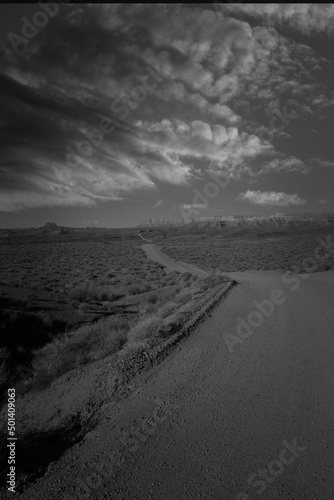 Along the dusty trail