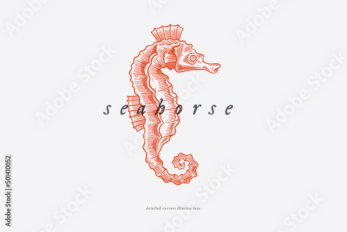 Hand-drawn red seahorse on a light background. Retro picture for the menu of fish restaurants, markets and shops. Vector illustration in vintage engraving style.