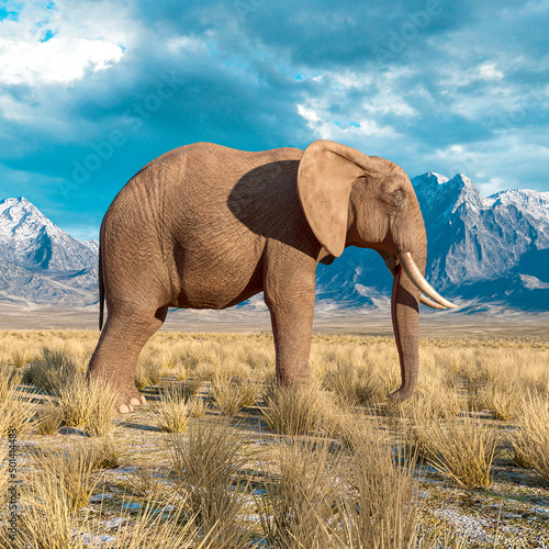 african elephant is standing up in plains and mountains side view