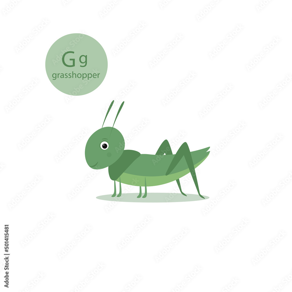 little green grasshopper. insect vector illustration little green grasshopper. insect vector illustration