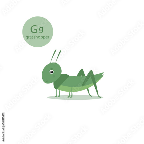 little green grasshopper. insect vector illustration
