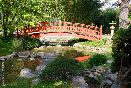 Red bridge in a japanese garden in summer   Paris.