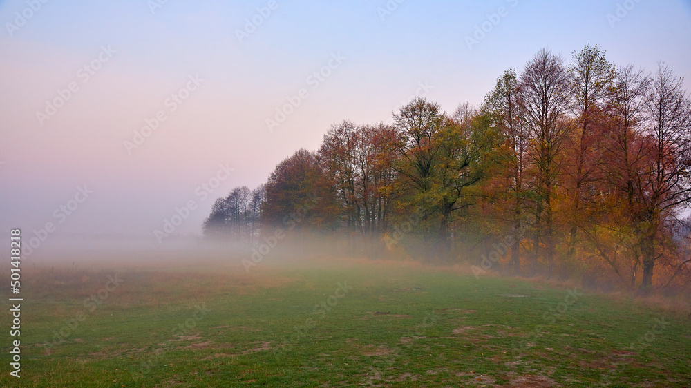 ukrainian misty morning landscape with trees in autumn ukrainian misty morning landscape with trees in autumn