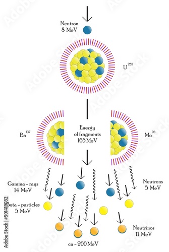 Nuclear Fission Infographic Diagram showing impact neutron uranium atom breaking down to lighter elements releasing high energy gamma rays neutrons starting chain reaction chemistry science education