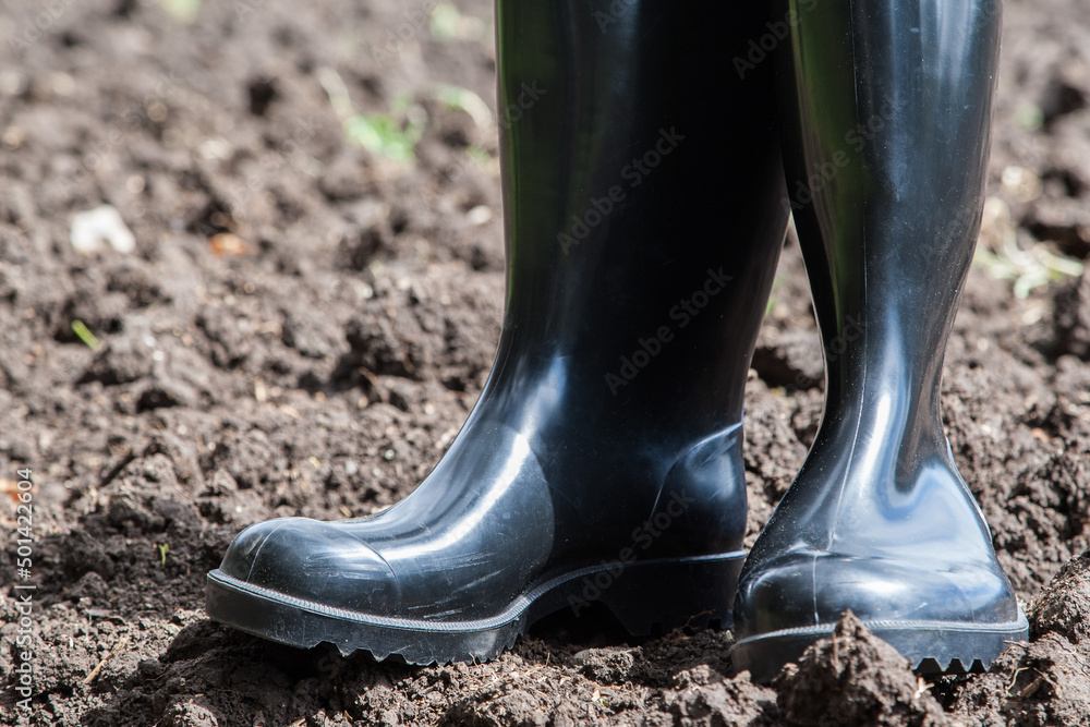 Agriculture was one of the first industries to use simple black rubber boots. They are therefore also popularly referred to as peasant boots. They are still indispensable for farmers today.