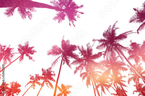 Coconut palm trees silhouettes isolated on white background with sunset sky double exposure effect © nevodka.com