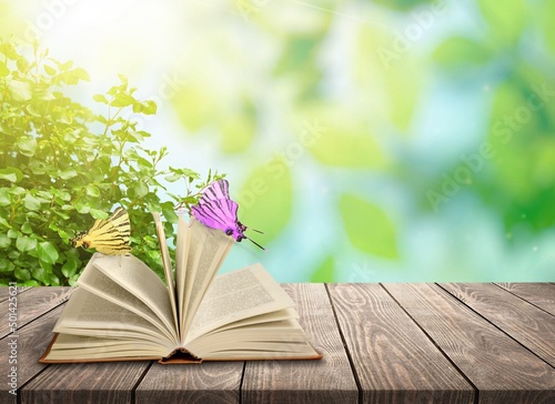 Open book with butterfly on wooden desk with natural background. © BillionPhotos.com