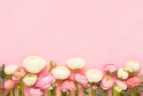 Border of ranunculus flowers on a pink background. Mothers Day, Valentines Day, birthday concept