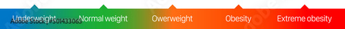 Human body mass index chart bar, vector illustration.