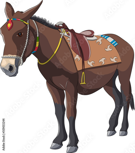 Drawing of a domestic donkey isolated on a white background.