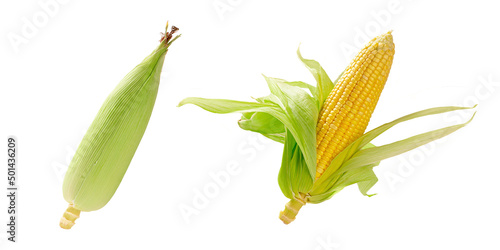 Fotomurale corn isolated on white