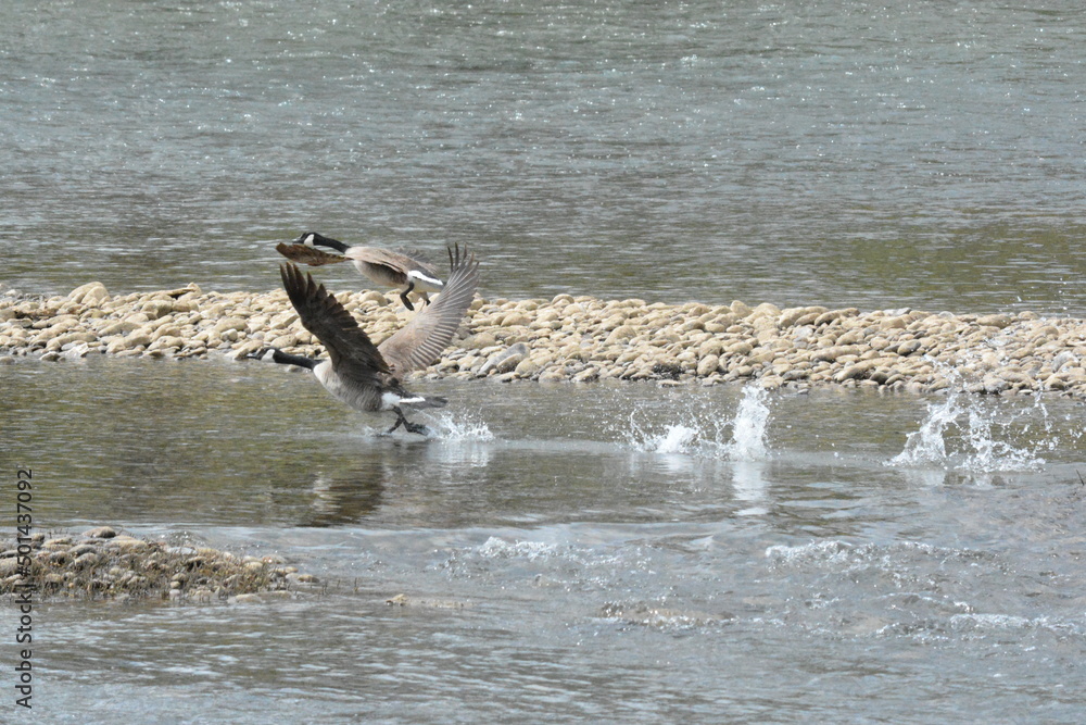 Fototapeta premium The Glories of the Outdoors.