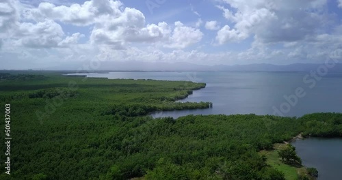 Wallpaper Mural Aerial view of a green shoreline. Dense mangrove forest by the Caribbean sea. Mountains far in the distance. Torontodigital.ca