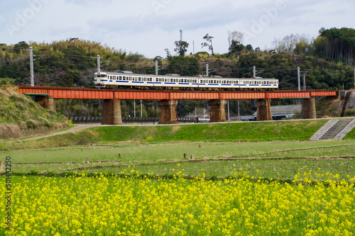 単線のプレートガーター橋を渡る電車