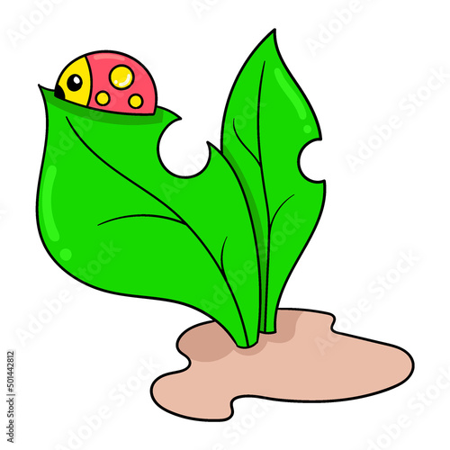 ladybug is on a fresh plant leaf, doodle icon image kawaii