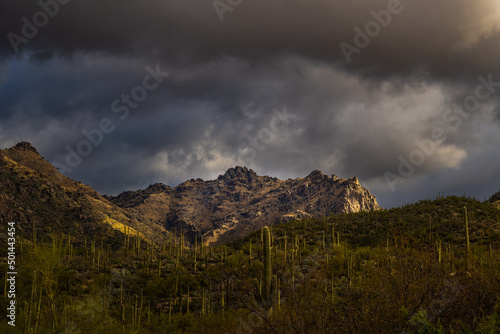 2022-04-26 THE SANTA CATALINA MOINTAINS WITH DARK CLOUDY SKYS AND CASTUS INTHE FOREGROUND NEAR TUCSON ARIZON photo
