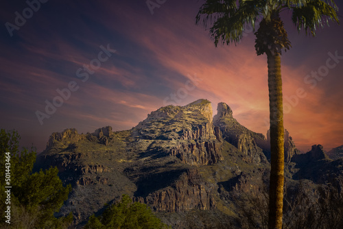 2022-04-26 THE SANTA CATALINA MOUNTAIN RANGE WITH A NICE PICK COLORED SKY AND A BLURRY PALM TREE IN THE FOREGROUND NEAR TUCSON ARIZONA photo