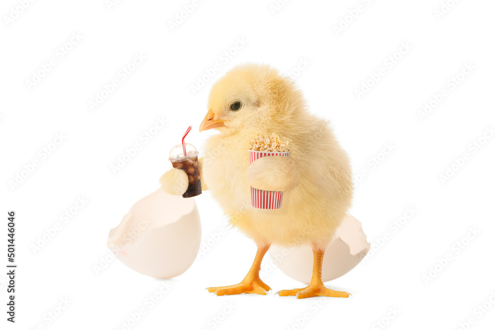 Funny little chick with popcorn and cola isolated on white Funny little chick with popcorn and cola isolated on white