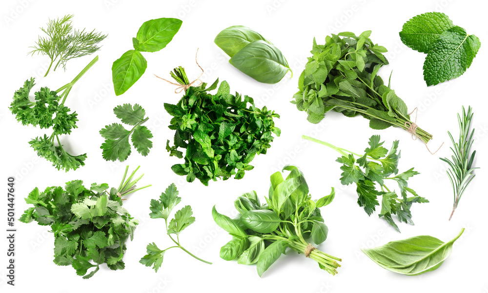 Obraz premium Set of fresh green herbs on white background