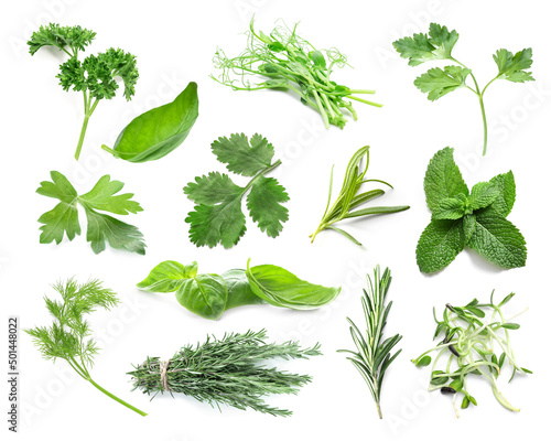 Set of fresh green herbs on white background photo