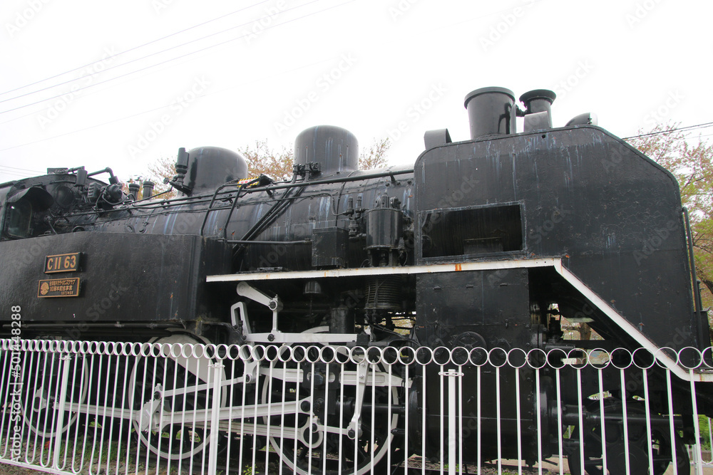 Obraz premium SL・日中線のしだれ桜（福島県・喜多方市）