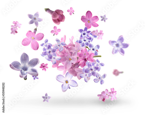 Many beautiful flying lilac flowers isolated on white