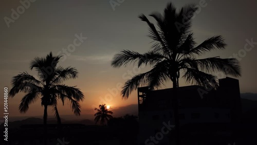 Pôr do sol com silhuetas de coqueiros e prédios