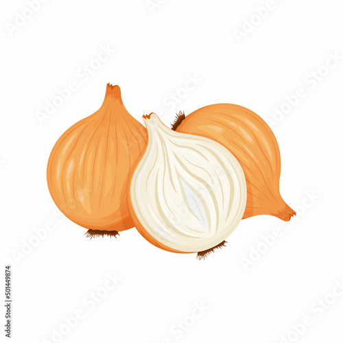 Unpeeled onion head. Vegan, vegetarian food. An ingredient for cooking.Bulbous vegetable.A natural healing remedy. Vector illustration of a bow isolated on a white background