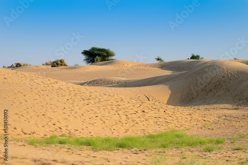 Thar desert. Barren land , sand dunes of Jaisalmer, Rajasthan, India.