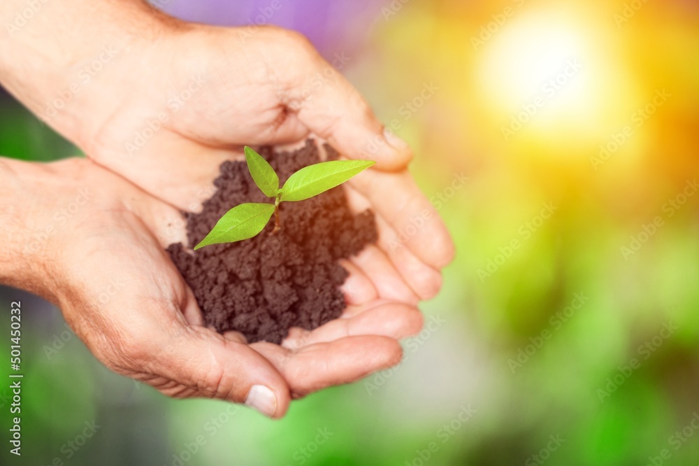 Plant in hands, successful responsible promoting green economy concept. Bio agriculture development concept. Plant in hands, successful responsible promoting green economy concept. Bio agriculture development concept.